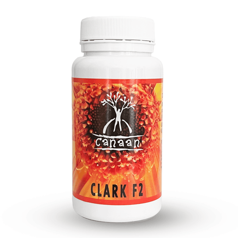 Terapia Clark (Pack Individual)