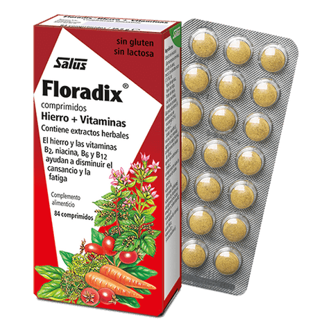 Floradix Comprimidos Hierro y Vitaminas